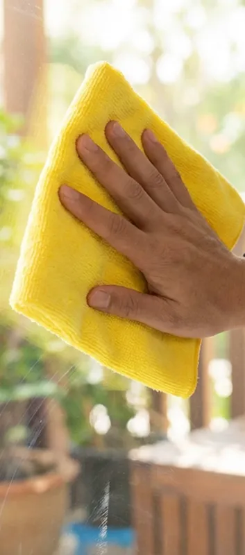 Expert Window Cleaning in Savannah, GA
